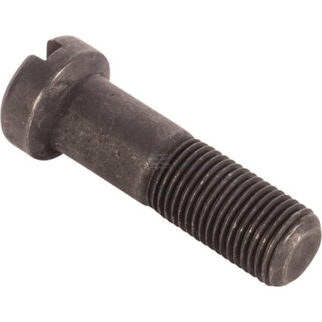 Boulon RAICO 825776M1N