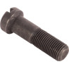Boulon RAICO 825776M1N