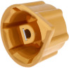Bouton CNH 81877580