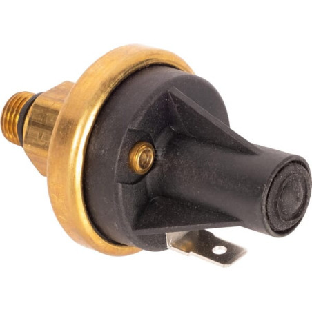 Capteur CNH 82003528