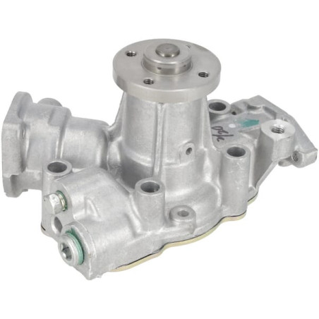 Pompe à eau BRIGGS & STRATTON 825639