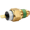 Sonde BRIGGS & STRATTON 820208