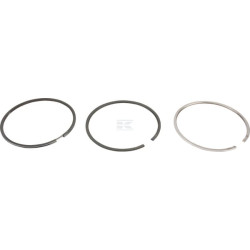 Segments LOMBARDINI 8211225