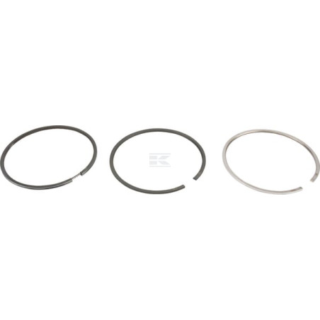 Segments LOMBARDINI 8211225