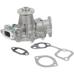 Pompe à eau BRIGGS & STRATTON 825265