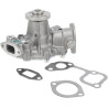 Pompe à eau BRIGGS & STRATTON 825265