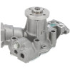 Pompe à eau BRIGGS & STRATTON 825265