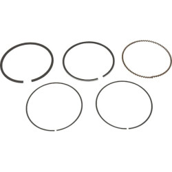 Segments STIGA 1185504470 - 118550447/0