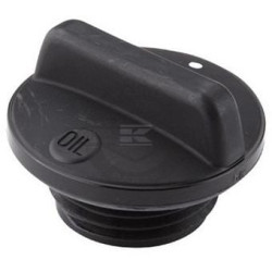 Bouchon BRIGGS & STRATTON 825024