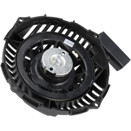 Lanceur BRIGGS & STRATTON 84006006