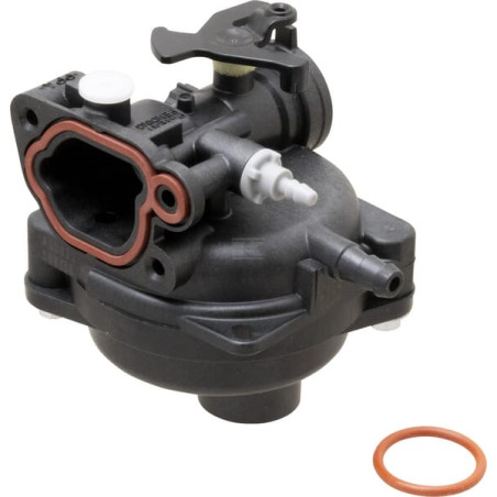 Carburateur BRIGGS & STRATTON 84001029