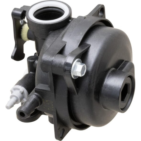 Carburateur BRIGGS & STRATTON 84001029