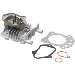 Culasse BRIGGS & STRATTON 84006590