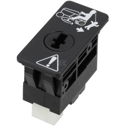 Interrupteur BRIGGS & STRATTON 84008079