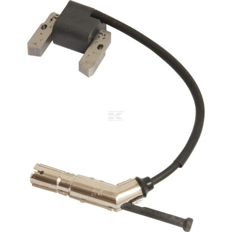 Armature BRIGGS & STRATTON 84004162