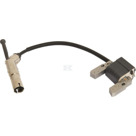 Armature BRIGGS & STRATTON 84004162