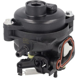 Carburateur BRIGGS & STRATTON 84001280