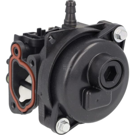Carburateur BRIGGS & STRATTON 84001280