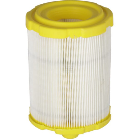 Filtre BRIGGS & STRATTON 84002310