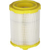 Filtre BRIGGS & STRATTON 84002310
