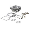 Culasse BRIGGS & STRATTON 84010935