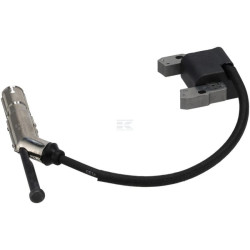 Armature BRIGGS & STRATTON 84004673