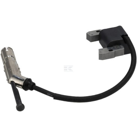 Armature BRIGGS & STRATTON 84004673