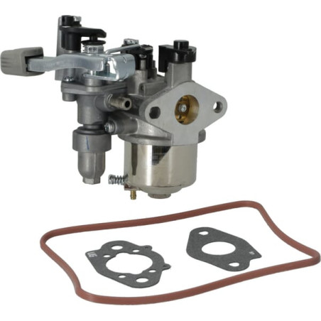 Carburateur BRIGGS & STRATTON 84004446