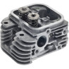 Culasse BRIGGS & STRATTON 84002012