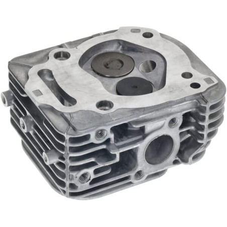 Culasse BRIGGS & STRATTON 84002012