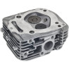Culasse BRIGGS & STRATTON 84002012