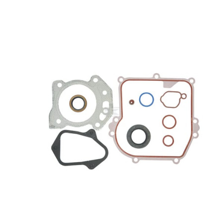Jeu de joints BRIGGS & STRATTON 84006587