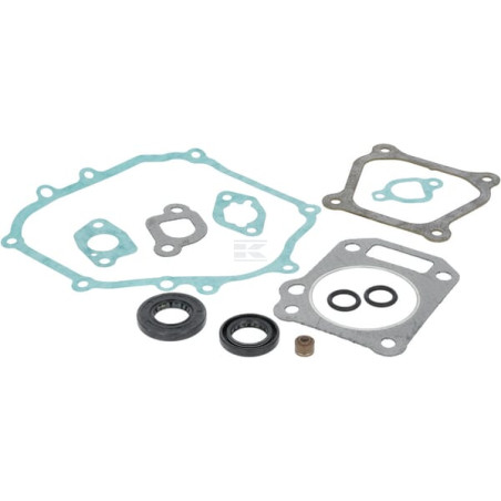 Kit BRIGGS & STRATTON 84004308