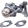 Carburateur BRIGGS & STRATTON 84004368