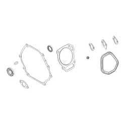 Jeu de joints BRIGGS & STRATTON 84004406