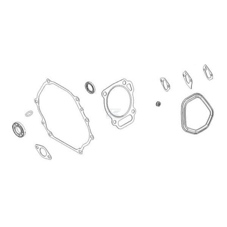 Jeu de joints BRIGGS & STRATTON 84004406