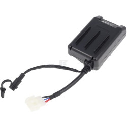 Batterie BRIGGS & STRATTON 84004958