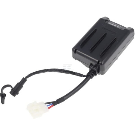 Batterie BRIGGS & STRATTON 84004958