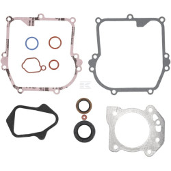 Jeu de joints BRIGGS & STRATTON 84006583