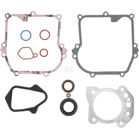 Jeu de joints BRIGGS & STRATTON 84006583
