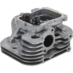 Culasse BRIGGS & STRATTON 84010829
