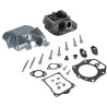 Culasse BRIGGS & STRATTON 84010829