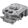 Culasse BRIGGS & STRATTON 84010829