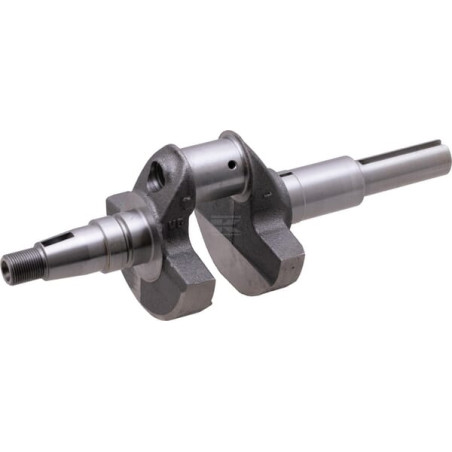 Vilebrequin BRIGGS & STRATTON 84004538