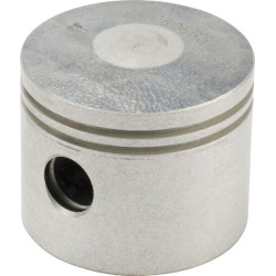 Piston CASTELGARDEN 1188017930 - 118801793/0