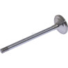 Soupape d'échappement NEW HOLLAND 87802258