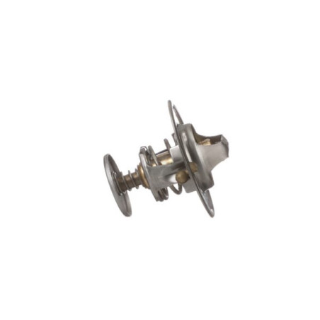 Thermostat FPT 87803664FPT