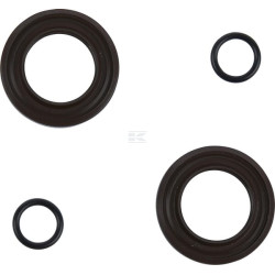 Kit CNH 85825248