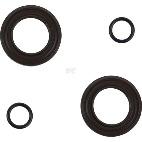 Kit CNH 85825248