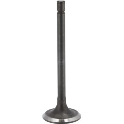 Soupape d'échappement BRIGGS & STRATTON 843752